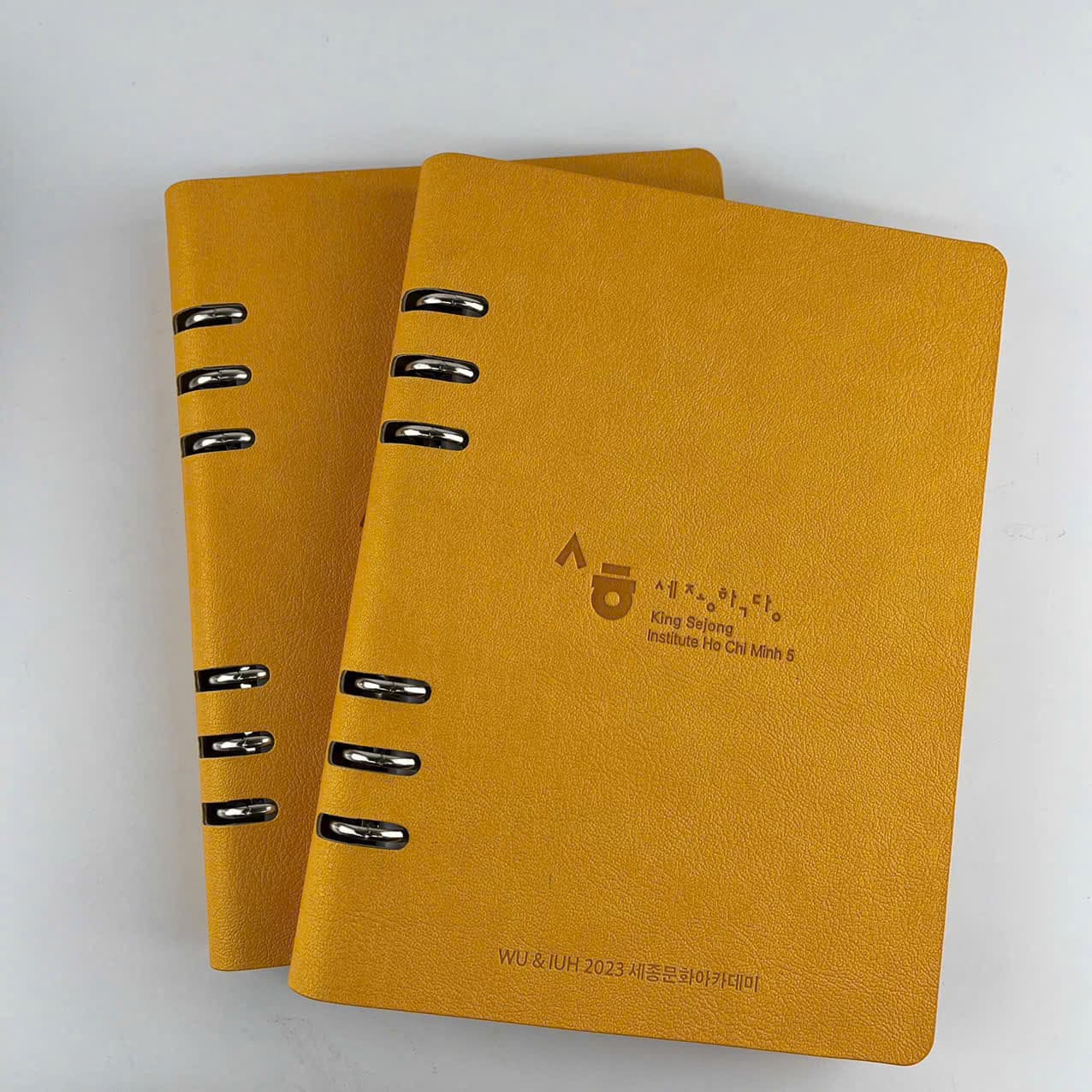 Sổ da - dập chìm A5