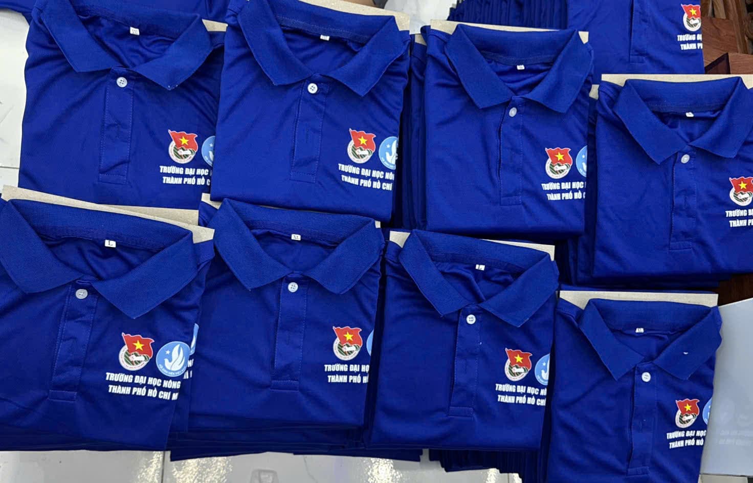 Áo mùa hè xanh Trường Đại học Nông Lâm 2