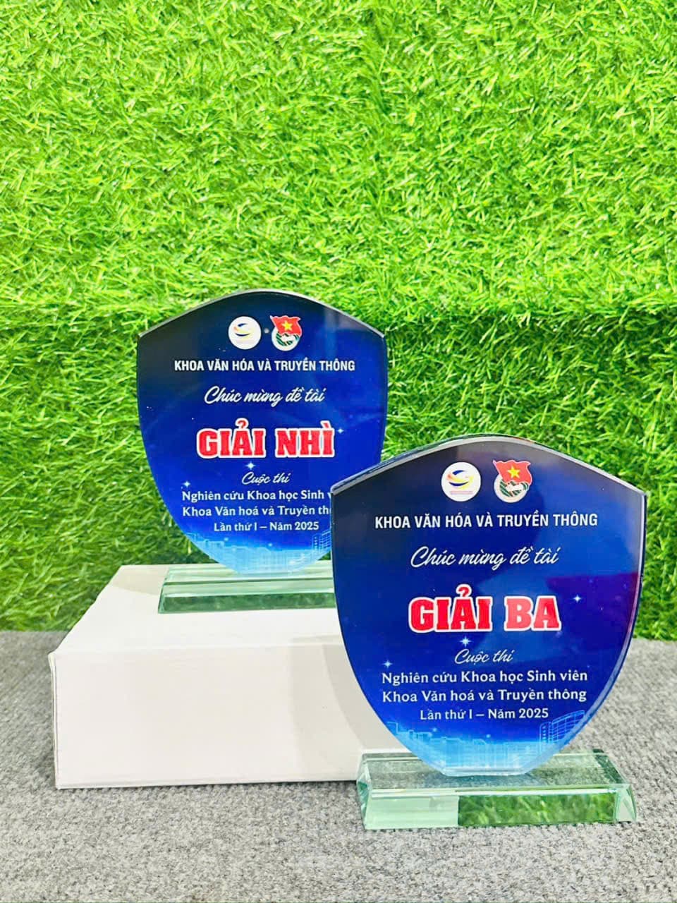 Kỷ Niệm Chương - Mẫu 31
