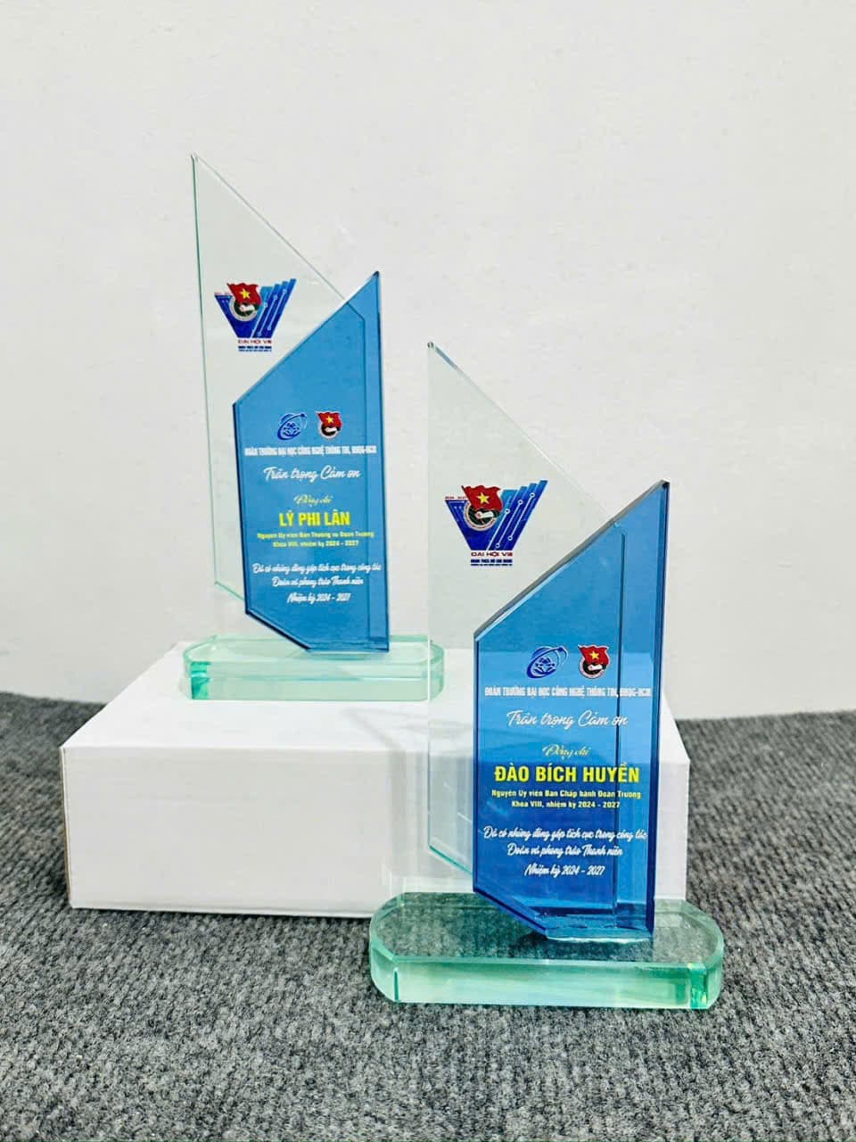 Kỷ Niệm Chương - Mẫu 33